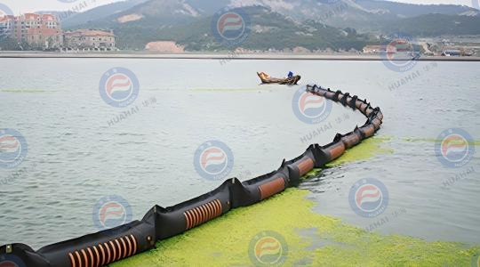 2008年7月，參加青島海域滸苔防治工作